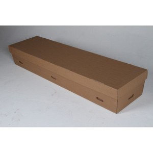 cardboard-coffin